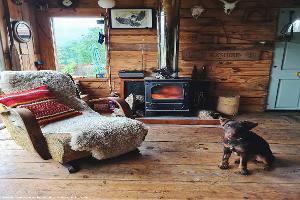 The Cabin: inside