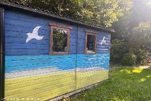 Water Shed, Dorset